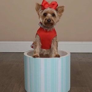 Meet your Posher, Jocelyn